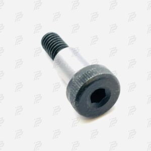 Dowel screw