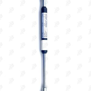 Pneumatic spring