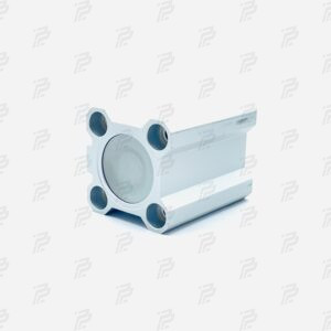 Double stroke cylinder