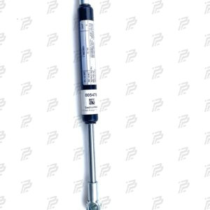 Pneumatic spring