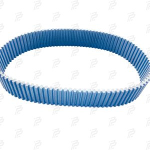 Double toothed belt