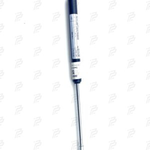 Pneumatic spring