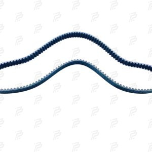 Toothed belt