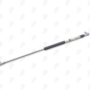 Pneumatic spring